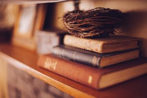 books on a shelf with a nest